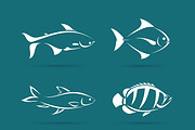 Vector group of fish