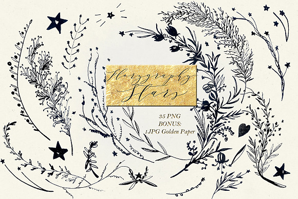 Florygraphy STARS. Ink clipart in Illustrations - product preview 2