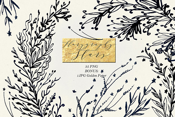 Florygraphy STARS. Ink clipart in Illustrations - product preview 3