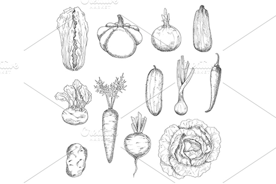 Outline vegetables sketches in Graphics - product preview 8