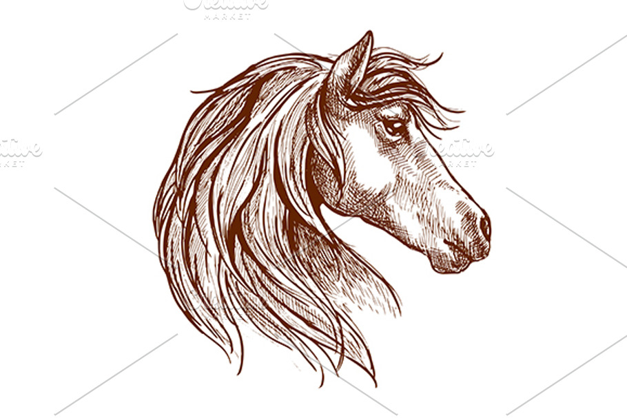Sketch of wild mare head in Graphics - product preview 8