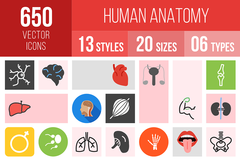 650 Human Anatomy Icons