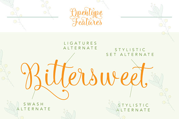 Queensha Typeface in Script Fonts - product preview 2