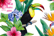 Tropic seamless pattern with toucan
