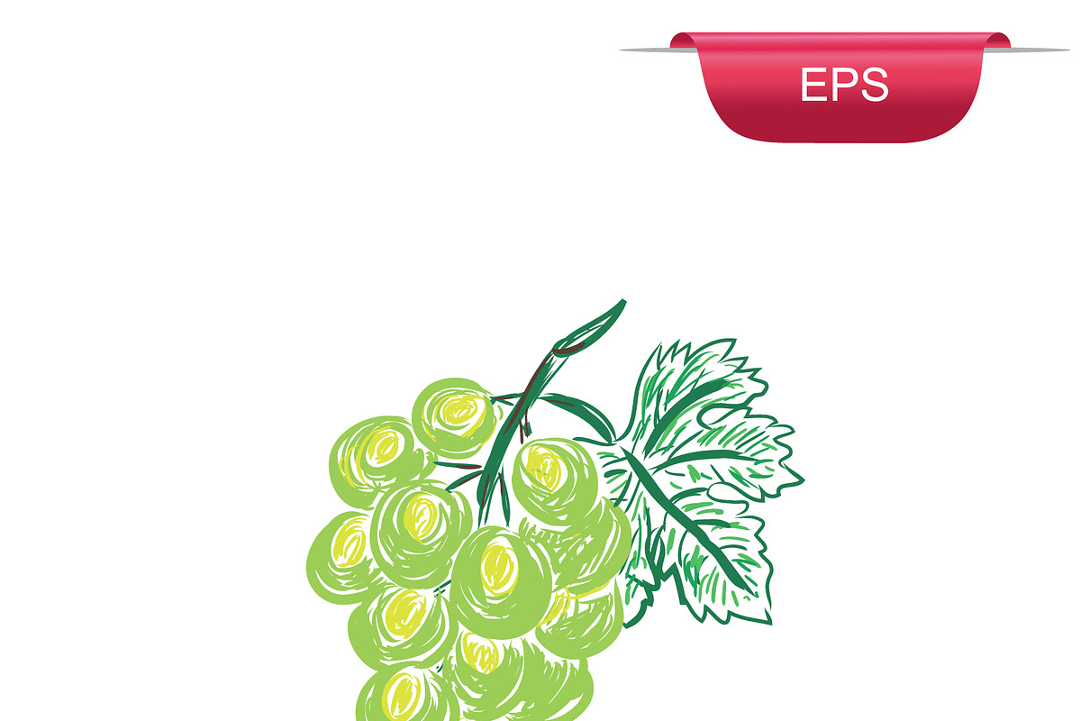 green grapes, sketch style in Illustrations - product preview 8