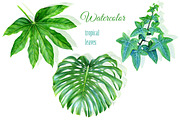 Watercolor tropical leaves drawing