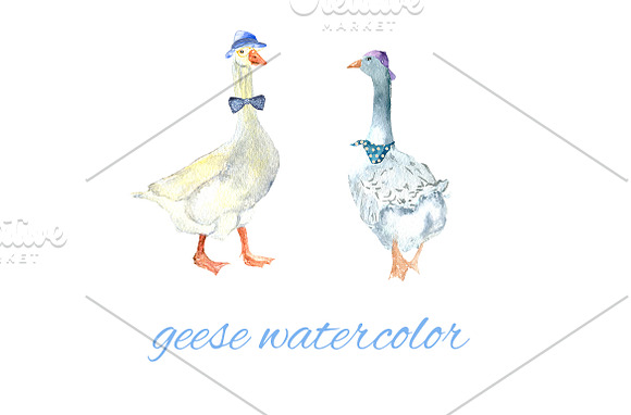 chickens and geese watercolor  in Illustrations - product preview 2
