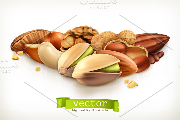 Nuts, vector illustration
