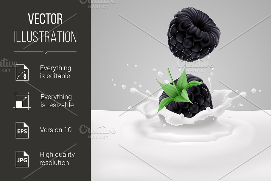 Blackberries with milk in Graphics - product preview 8