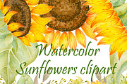 Watercolor sunflowers clipart