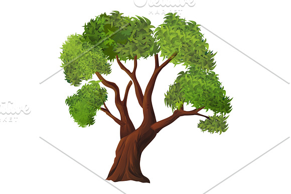 Trees, nature, forest, vector set in Graphics - product preview 2