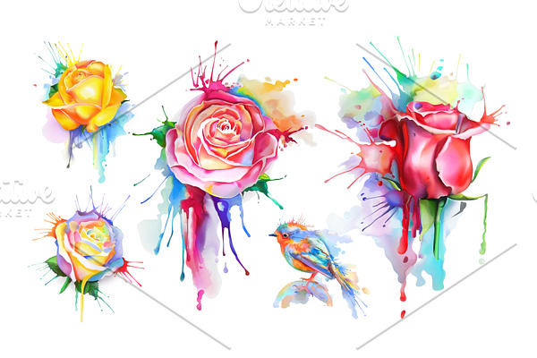 Watercolor roses. Little bird vector