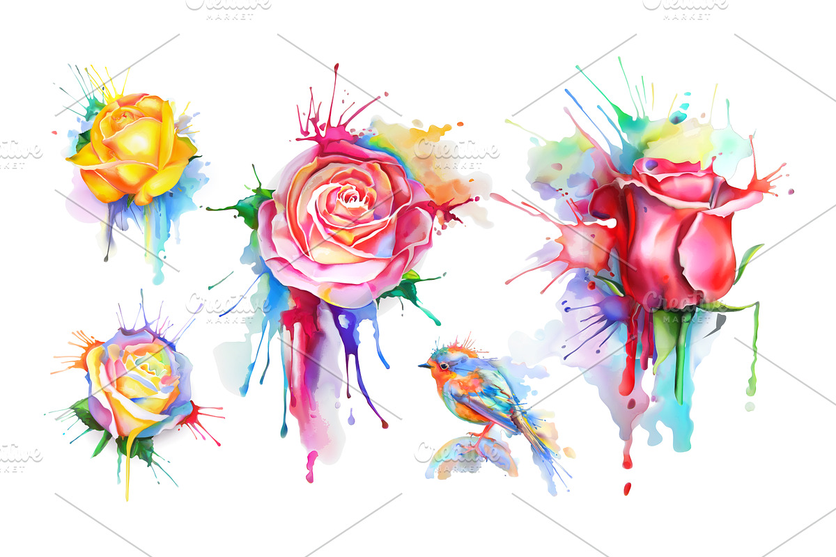 Watercolor roses. Little bird vector in Graphics - product preview 8