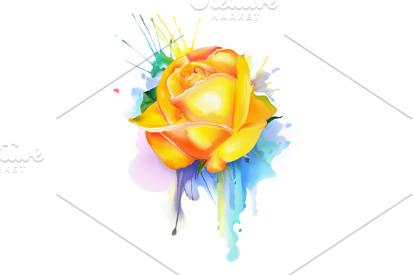 Watercolor roses. Little bird vector in Graphics - product preview 1