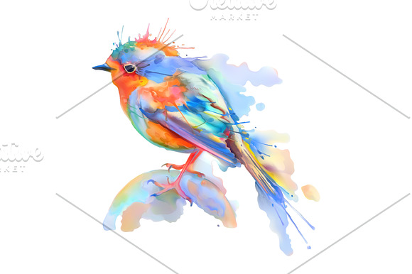 Watercolor roses. Little bird vector in Graphics - product preview 2