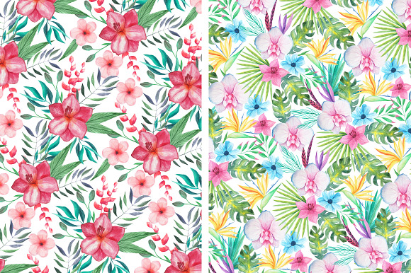 Tropical Floral Seamless Patterns in Patterns - product preview 4