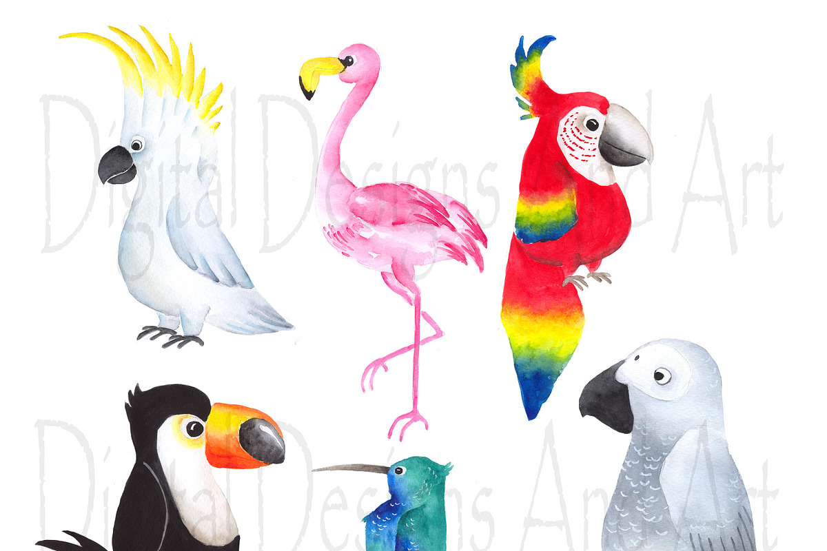 Watercolor tropical birds in Illustrations - product preview 8