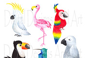 Watercolor tropical birds
