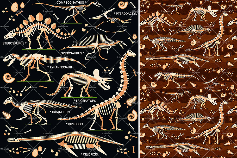 Collection of Dinosaur Skeletons  in Illustrations - product preview 8