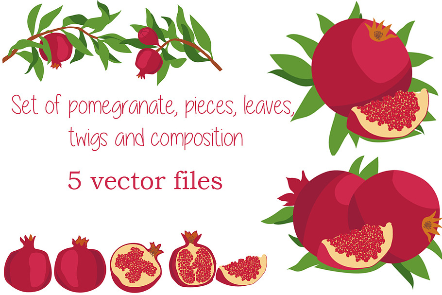 Pomegranate. Vector set.
