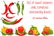 Pepper and chili peppers, vector set