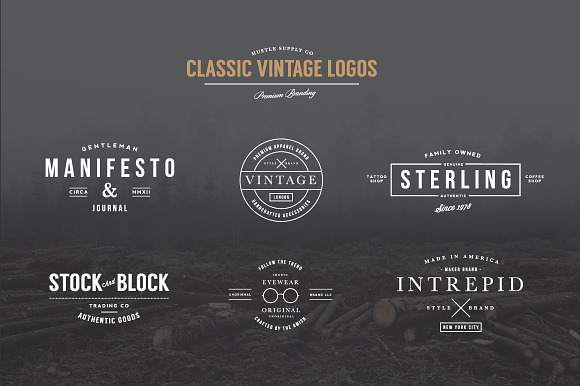 $10 Off - Vintage Logo Bundle in Logo Templates - product preview 2