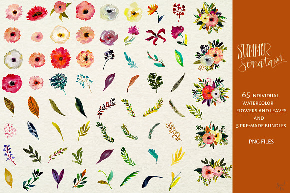 Hand Painted Summer Flowers in Illustrations - product preview 2