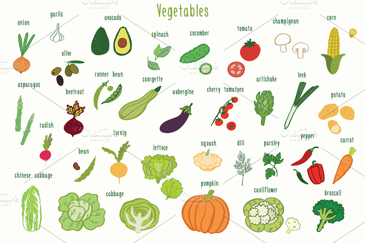 Vegetables in Illustrations - product preview 8