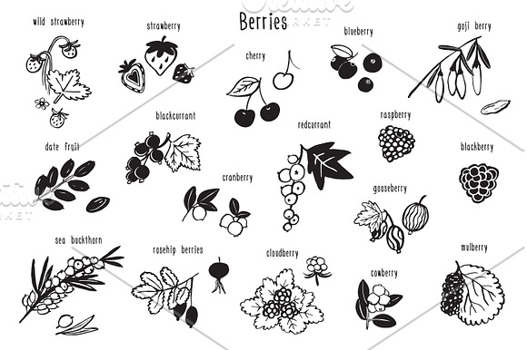 Berries in Illustrations - product preview 1