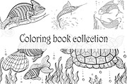 Coloring book collection