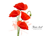 Summer Background With Red Poppies