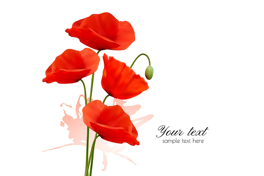 Summer Background With Red Poppies in Illustrations - product preview 8