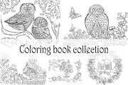 Coloring book collection