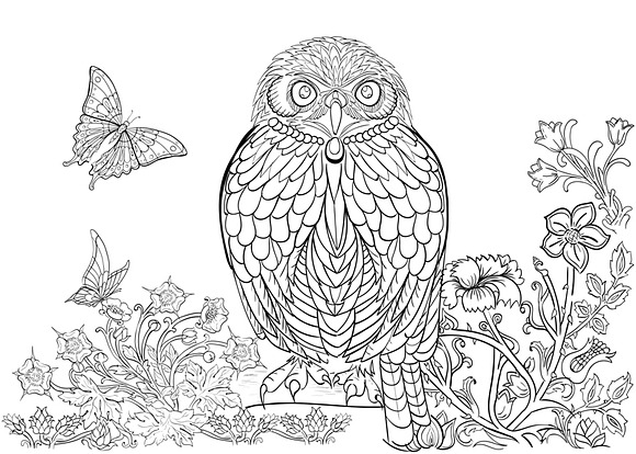 Coloring book collection in Illustrations - product preview 1