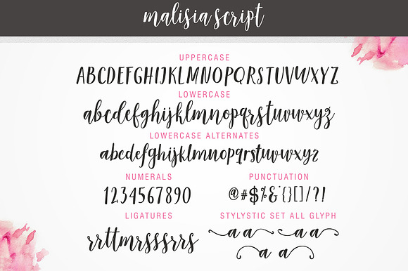Malisia Script in Fancy Fonts - product preview 4