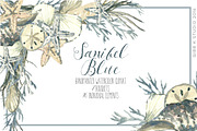 Sanibel Blue Seashell Clipart