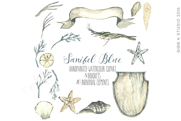 Sanibel Blue Seashell Clipart in Illustrations - product preview 5