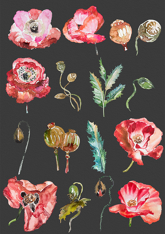 - 50% OFF Watercolor Poppies Clipart in Illustrations - product preview 1