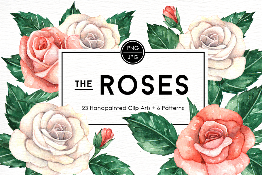 Rose Flowers Watercolor Clipart in Illustrations - product preview 8