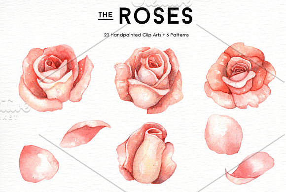 Rose Flowers Watercolor Clipart in Illustrations - product preview 2