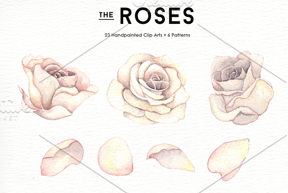 Rose Flowers Watercolor Clipart in Illustrations - product preview 3