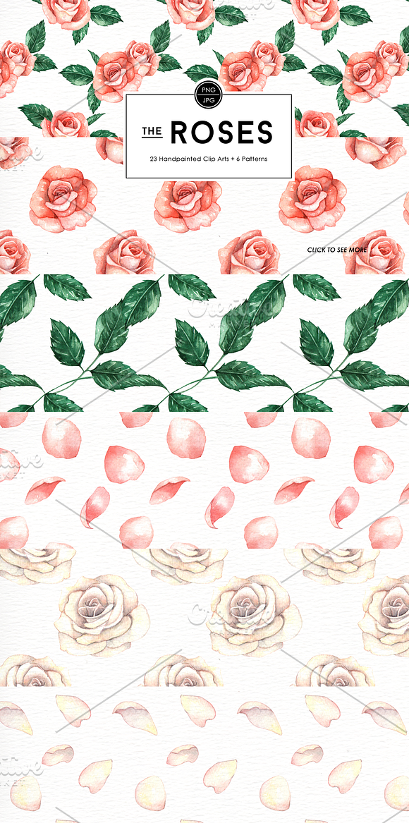 Rose Flowers Watercolor Clipart in Illustrations - product preview 6