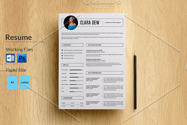 3 Page Resume Template-V025