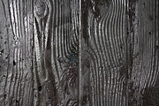 Silver wooden wall texture
