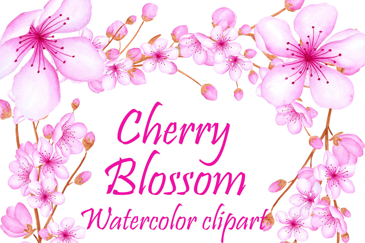 Watercolor blossom clipart in Illustrations - product preview 8