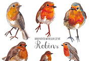 Robin watercolor clip art