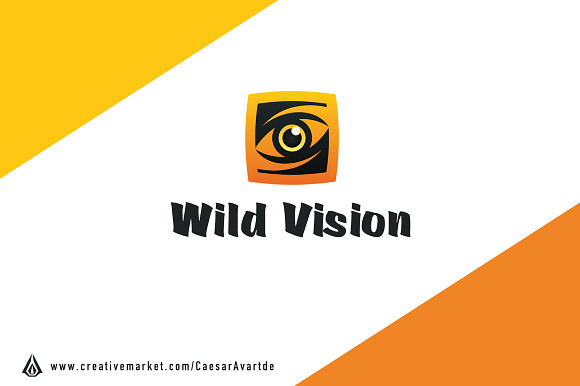 Wild Eye Logo Template in Logo Templates - product preview 1