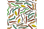 Worms and caterpillar pattern