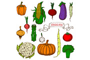 Organically grown ripe vegetables