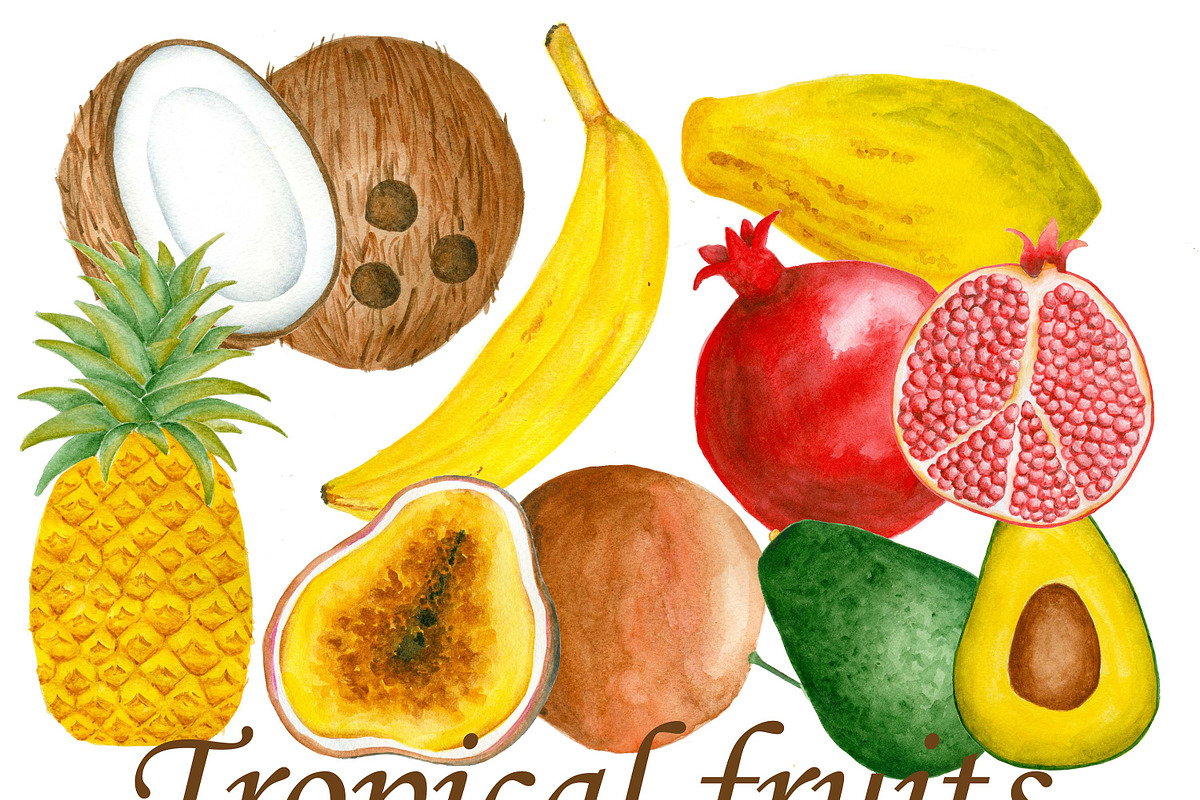 Watercolor tropical fruits in Illustrations - product preview 8